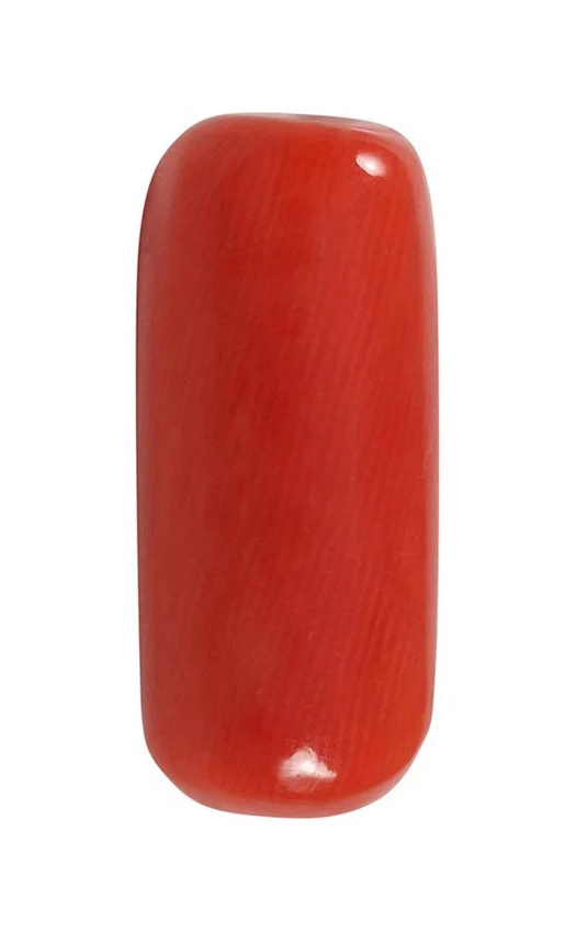 Coral (Moonga) - Image 2
