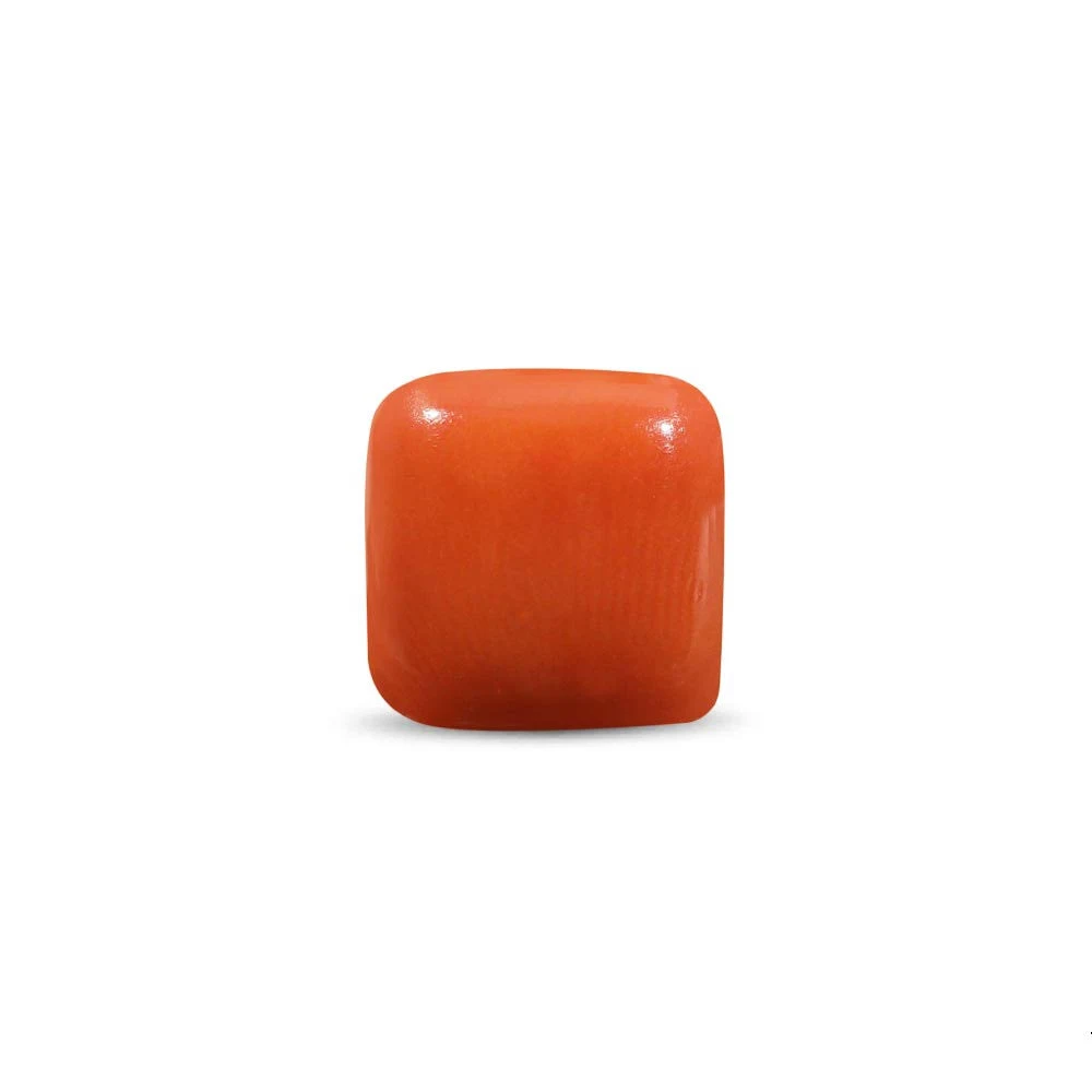 Coral (Moonga) - Image 4
